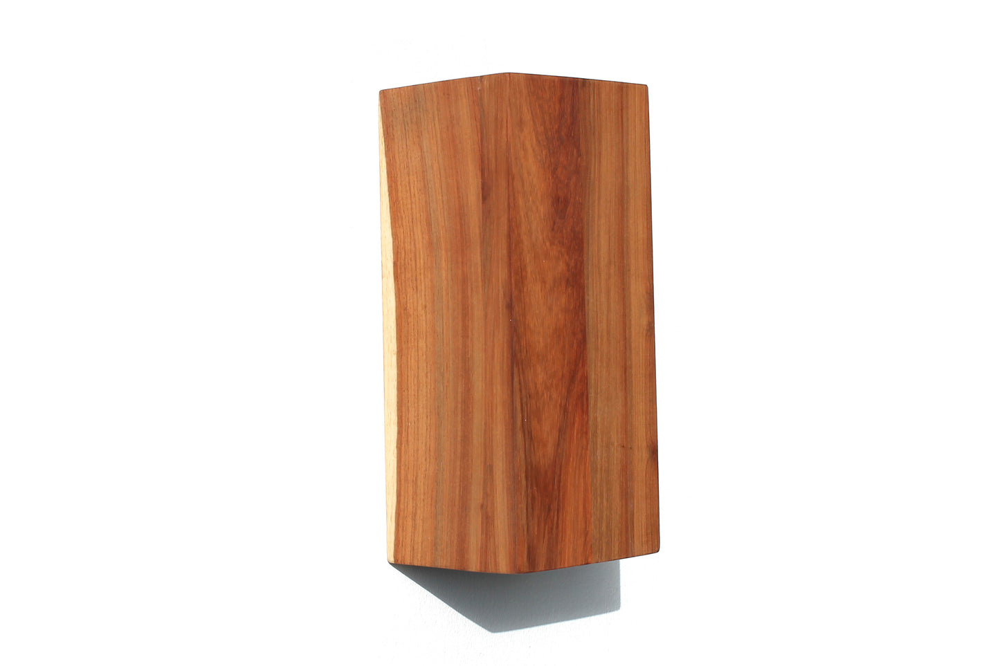 Namibian Teak Up Down Wall Light rear view on a white background