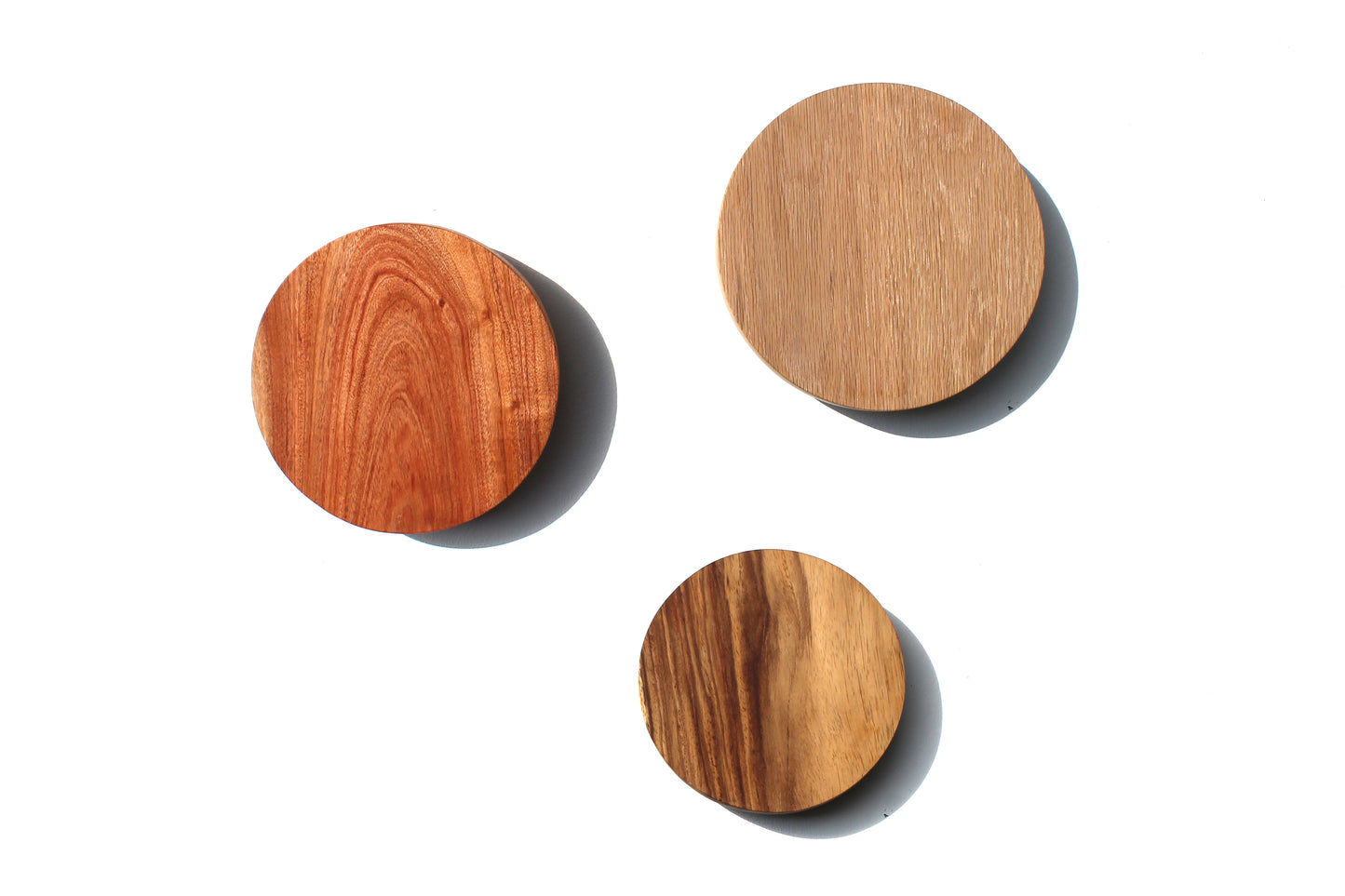 Oak, Rosewood and Namibian Teak Circle Wall Lights displayed on a white wall